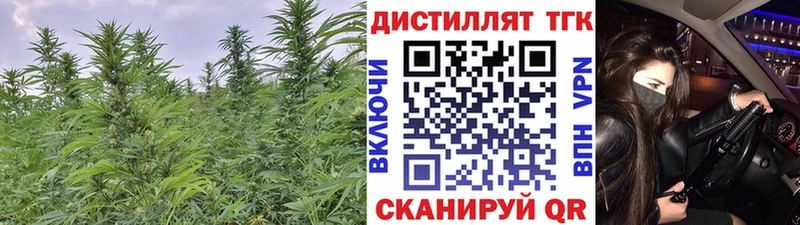 Купить закладки  Дальнереченск  ТГК гашишное масло 