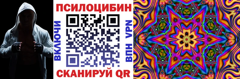 Купить закладки  Дальнереченск  Псилоцибиновые грибы мицелий 